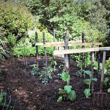 Maison 6 Pers. Pleine Nature * La Barriére
